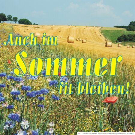 Sommer